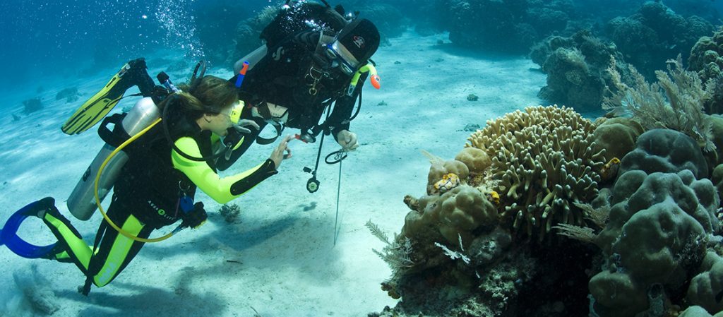 dykning kontaktlinser