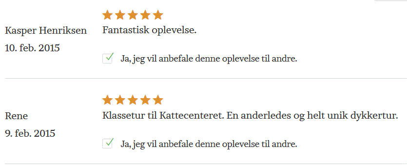 anmeldelser af prøvedyk