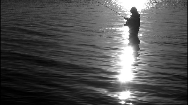 Fisketips billede