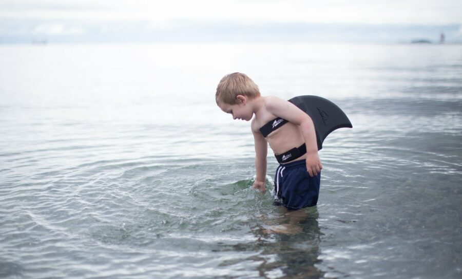 hajfinne swimfin